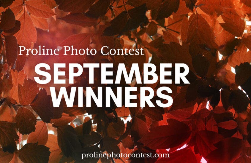 September Photo Contest Winners