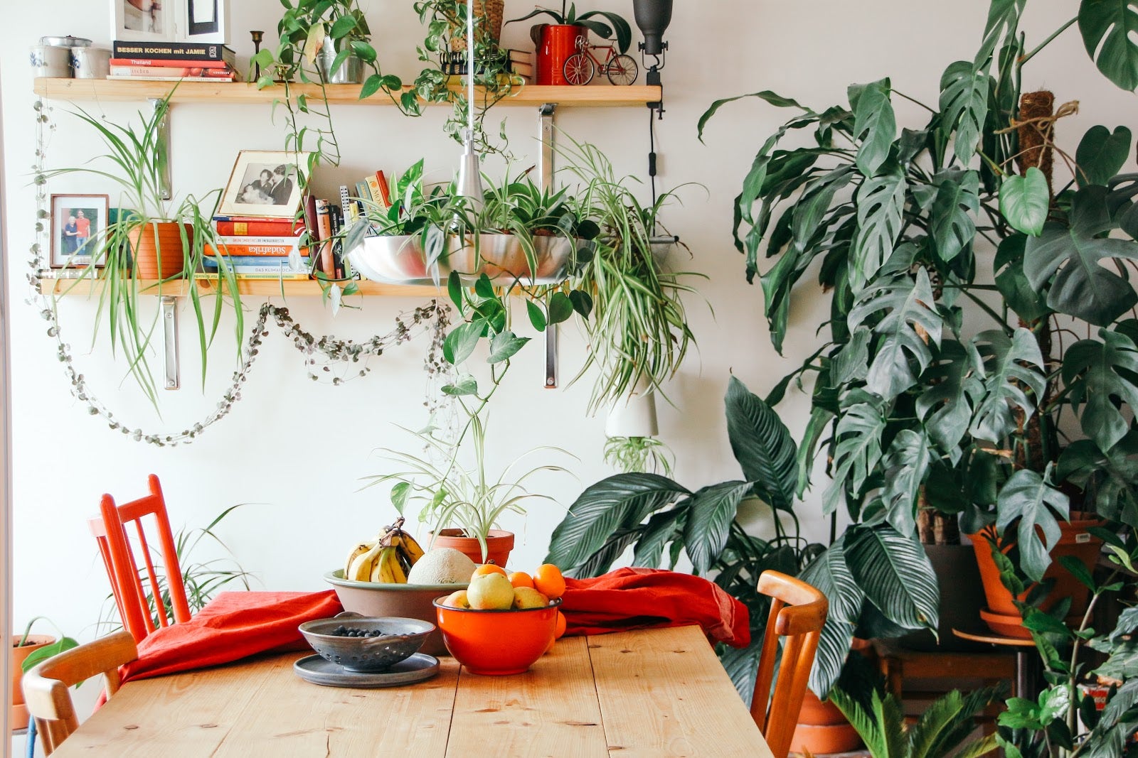 Bohemian Kitchen Ideas - Boho Kitchen with Plants. Plants on tiered shelves