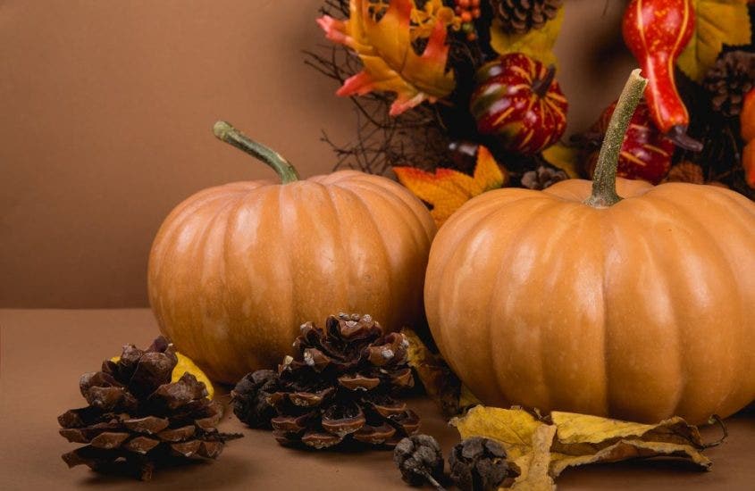Pumpkins and Pinecones - Fall Kitchen Decor