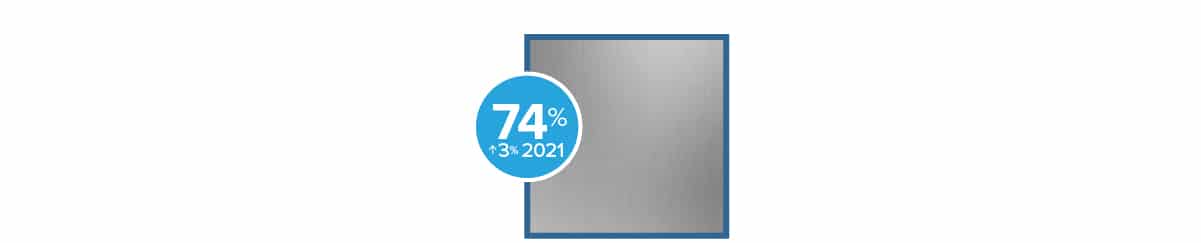 Standard stainless is the overwhelming favorite for appliances (74%), up three percent from 2021.