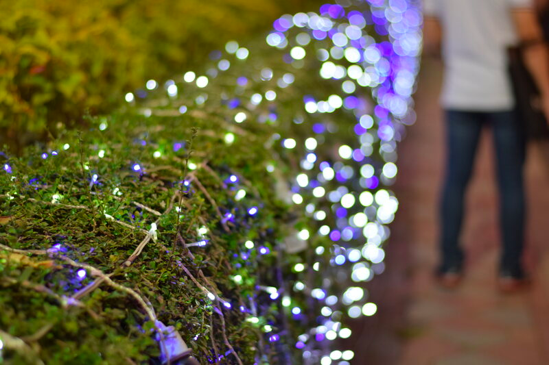 LED lights around plants on fence