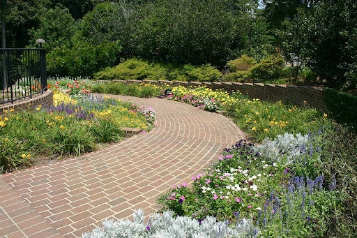 Brick paver path with surrounding plants