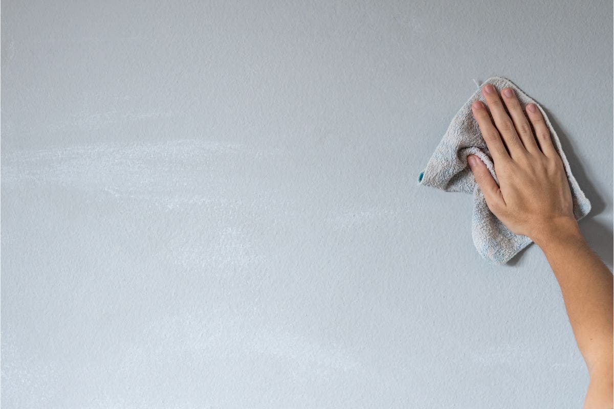 How To Clean Matte Paint Walls Like A Pro