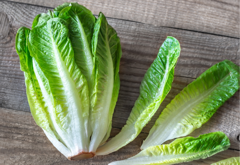 can i revive wilted lettuce?