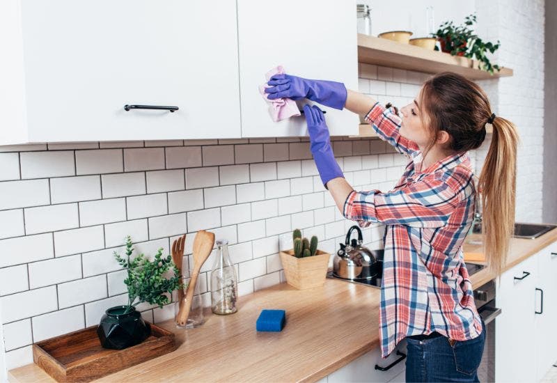 https://www.prolinerangehoods.com/blog/wp-content/uploads/2023/05/how-to-us-a-degreaser-in-your-kitchen.jpg
