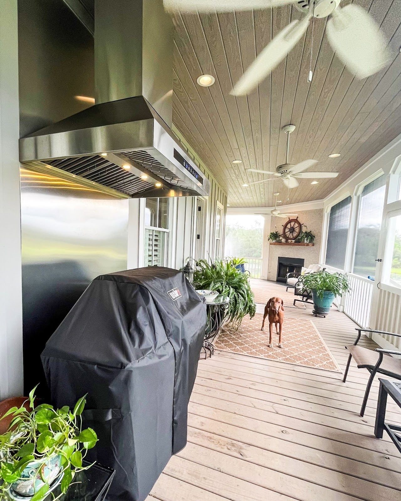 Proline range hood on a welcoming porch with wooden flooring and a pet dog standing guard - prolinerangehoods.com